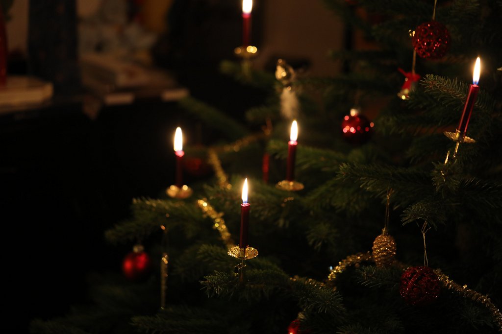 574B4634.JPG - Weihnachtsbaum 2019