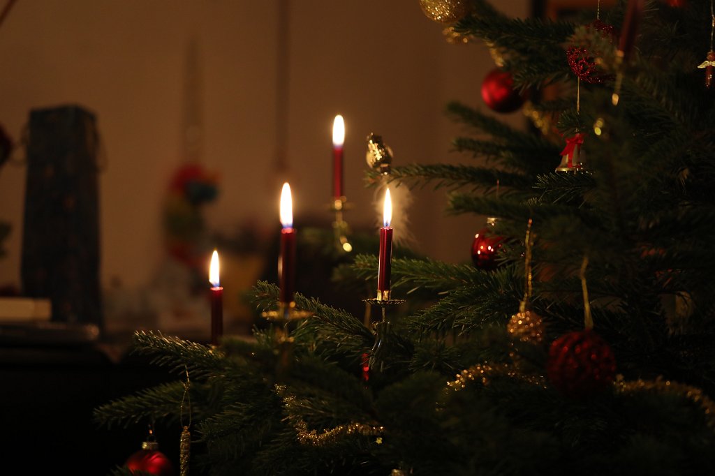 574B4642.JPG - Weihnachtsbaum 2019